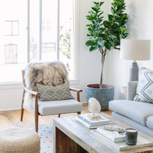Living Room Ideas
