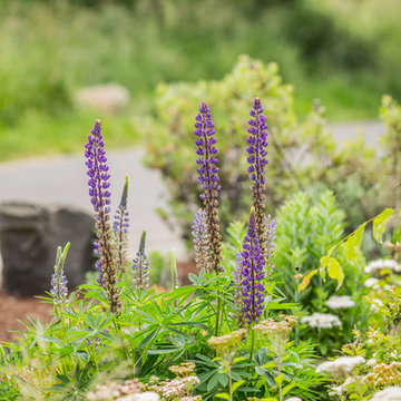 Water Wise Demonstration Garden