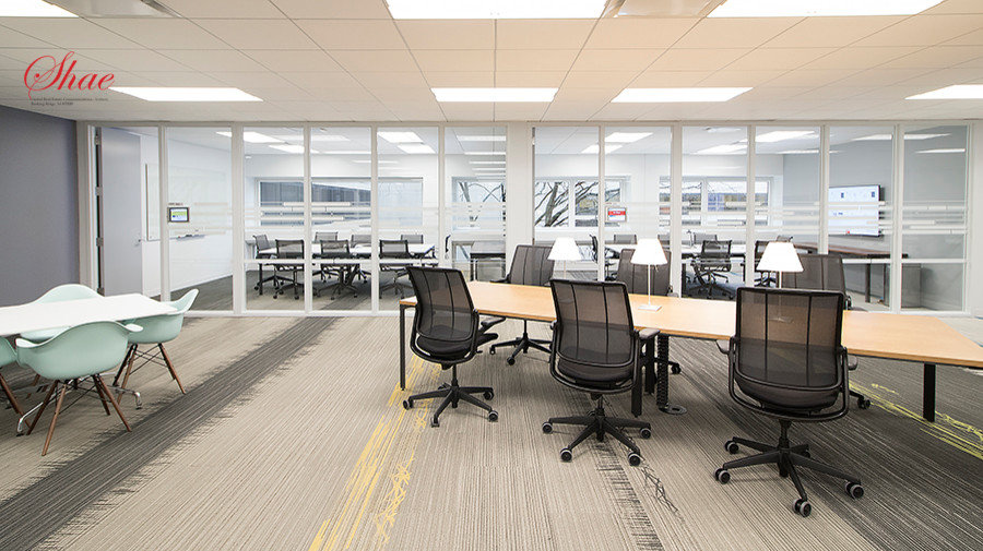 Open Office Space with Private Conference Room