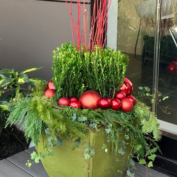 Holiday Container Gardens