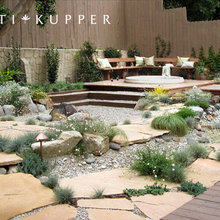 drought tolerant