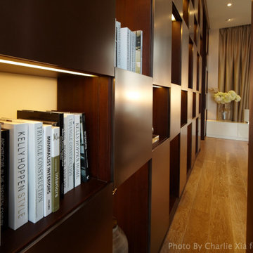 Modern penthouse