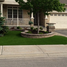 Front Landscape