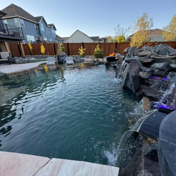 Backyard Recreation Swim Pond