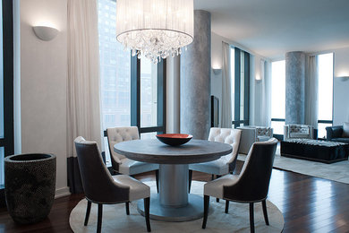 Inspiration for a mid-sized contemporary dining room in New York with white walls, dark hardwood floors and no fireplace.