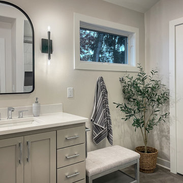 Silver Lake Renovation