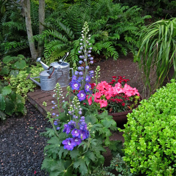 Zero Lawn Xeriscape