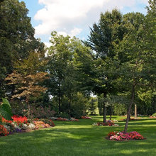 Landscape Ideas
