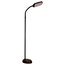 Slim Design LED Bright Reader Natural Daylight Full Spectrum Floor Lamp, Black
