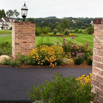 Meadow Garden