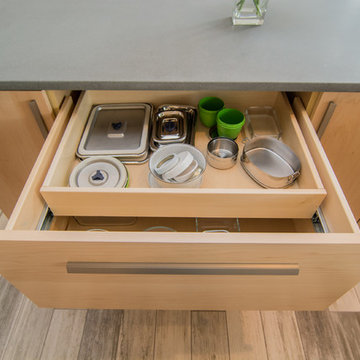 Full-Access Contemporary Kitchen