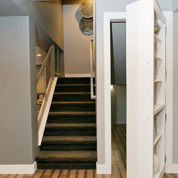 Modern Basement