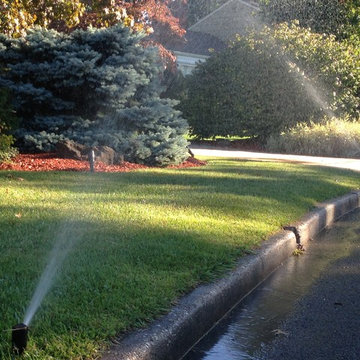 No Damage to Lawn
