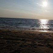 Foto de Brigitte Johnson
