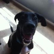Kelly Hatt's photo