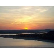 Leslie Pitt's photo