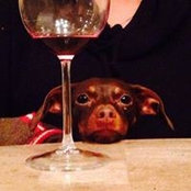 Melissa Chudy's photo