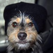 Susan Sullivan Elmes's photo