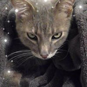 Tracey Tupper's photo