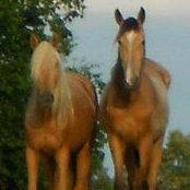 Foto von Donna Wilson
