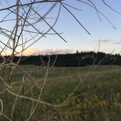 Haley Yavorski's photo