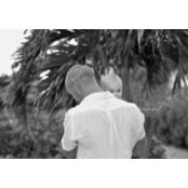 Steve Flowers's photo
