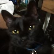 Laura Taylor's photo