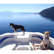 Tanya Thayer's photo