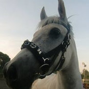 Maria Magnussen's photo