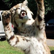 Foto von Lisa Lynde