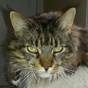 Linda McFann Lawrence's photo