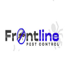 Frontline Wasp Removal Sydney