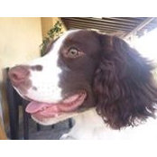 Andreas Pallides's photo