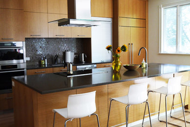 Example of a 1950s kitchen design in Chicago