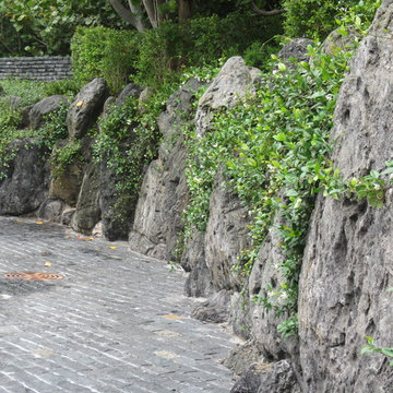 Rock walls and landscaping tropical