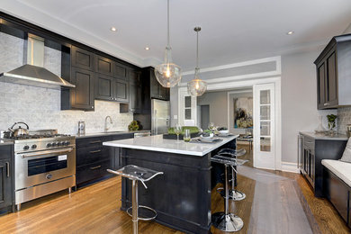Kitchen - transitional kitchen idea in DC Metro