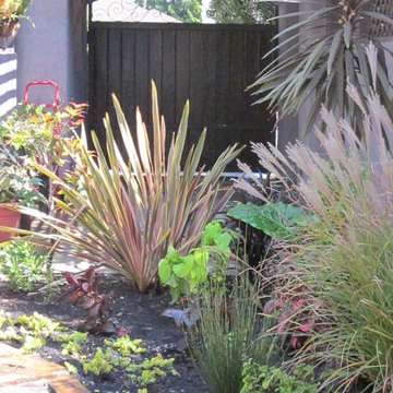 Fun filled Backyards