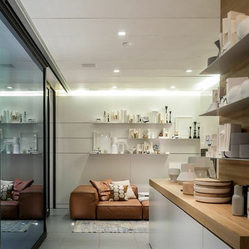 Laneway Residence