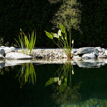 Kleiner Schwimmteich als persönliche Oase