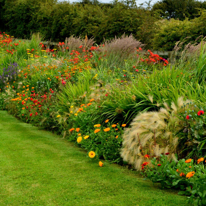 Native Property Border with Grasses, oranges, yellow and Seed heads