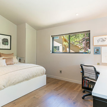 Incline Village Home - remodel, art placement, and landscape design