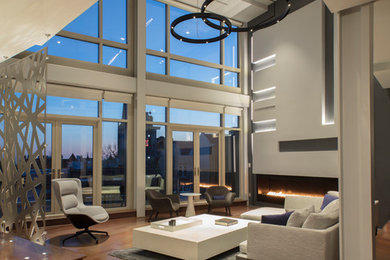 Photo of a modern living room in DC Metro with a ribbon fireplace and a metal fireplace surround.