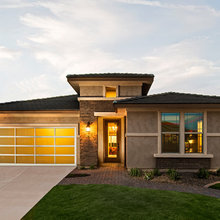 palo verde