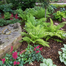 Landscape Ideas