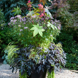 Container Gardens - Outdoor Pots And Planters
