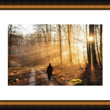 Framed Art Prints for your home or office wall