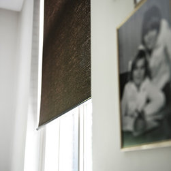 Natural Light Filtering Roller Shades - Window Treatments