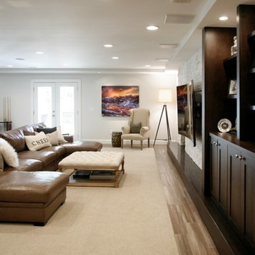 Roswell - Basement Remodel