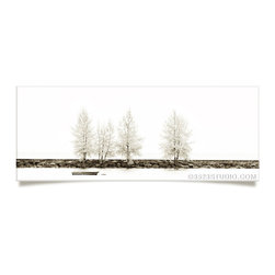 Tree Sepia Collection - Prints And Posters