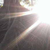 Adam Rjc's photo